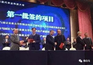 农垦科技爆料最新消息,揭秘农业现代化创新突破与未来趋势 第1张 农垦科技爆料最新消息,揭秘农业现代化创新突破与未来趋势 第1张