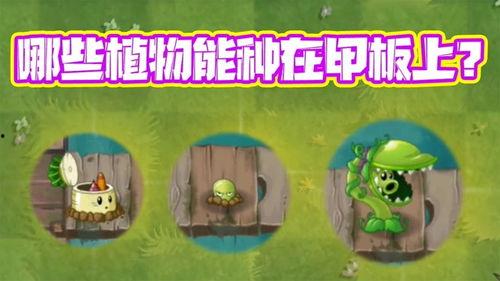 蛙剧视频在线观看,在线观看，畅享精彩瞬间  第3张