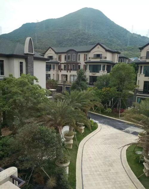 东莞外卖爆料案件最新消息,疑点重重，真相渐明  第2张